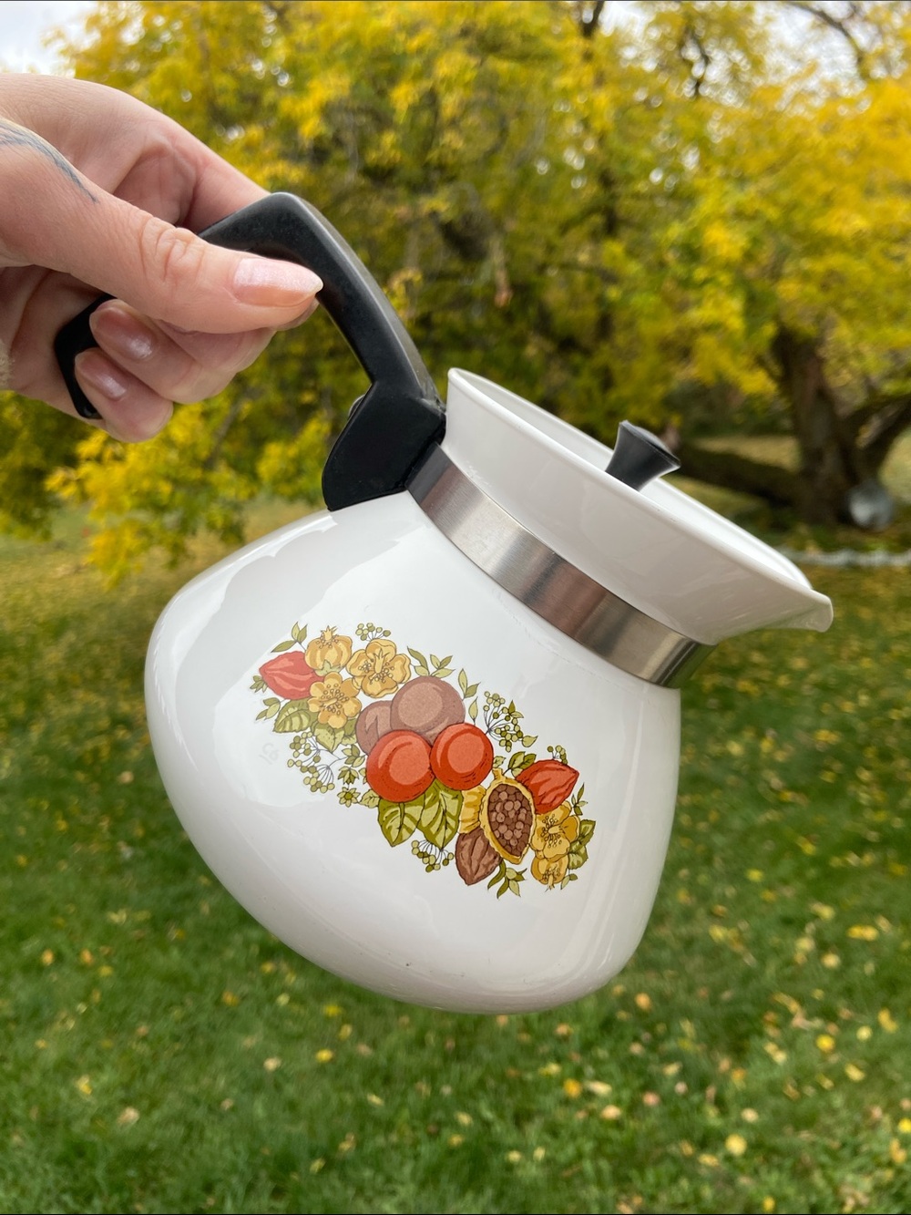 VTG 70s Corning Ware Spice of Life Kettle Fall Cottagecore Farmhouse Tea Coffee